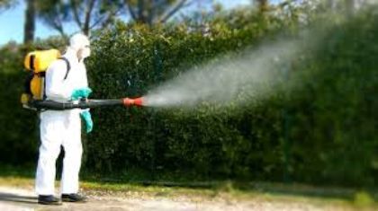 Derattizzazione e deblattizzazione